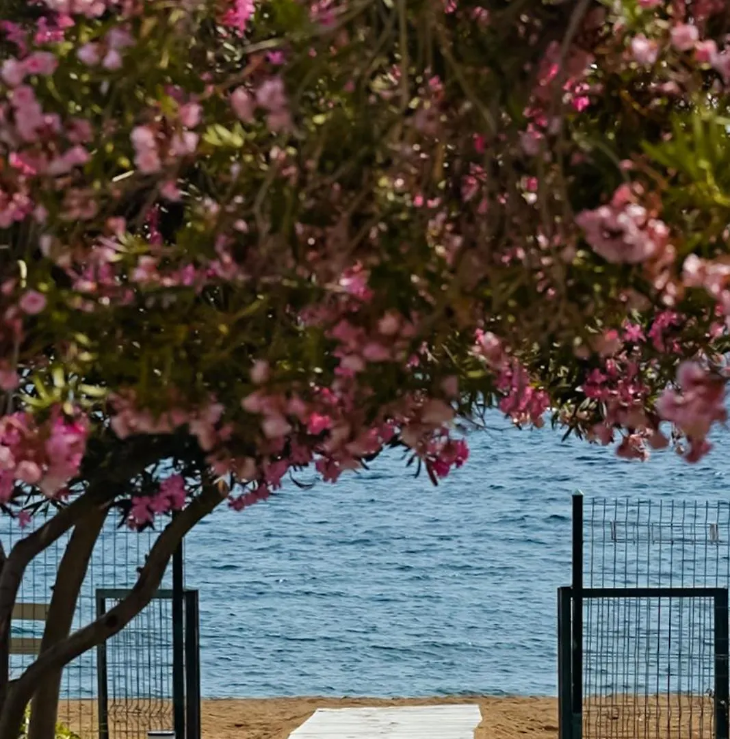 Club Beyy Resort Hotel İzmir Turecko